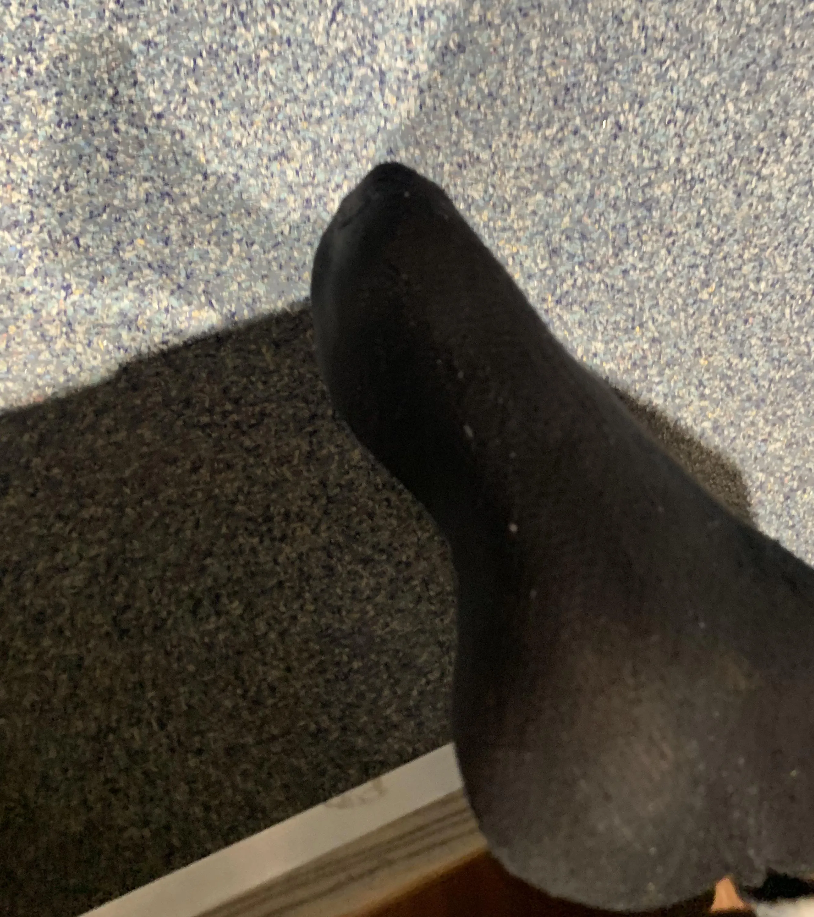 Smelly gym socks [F]