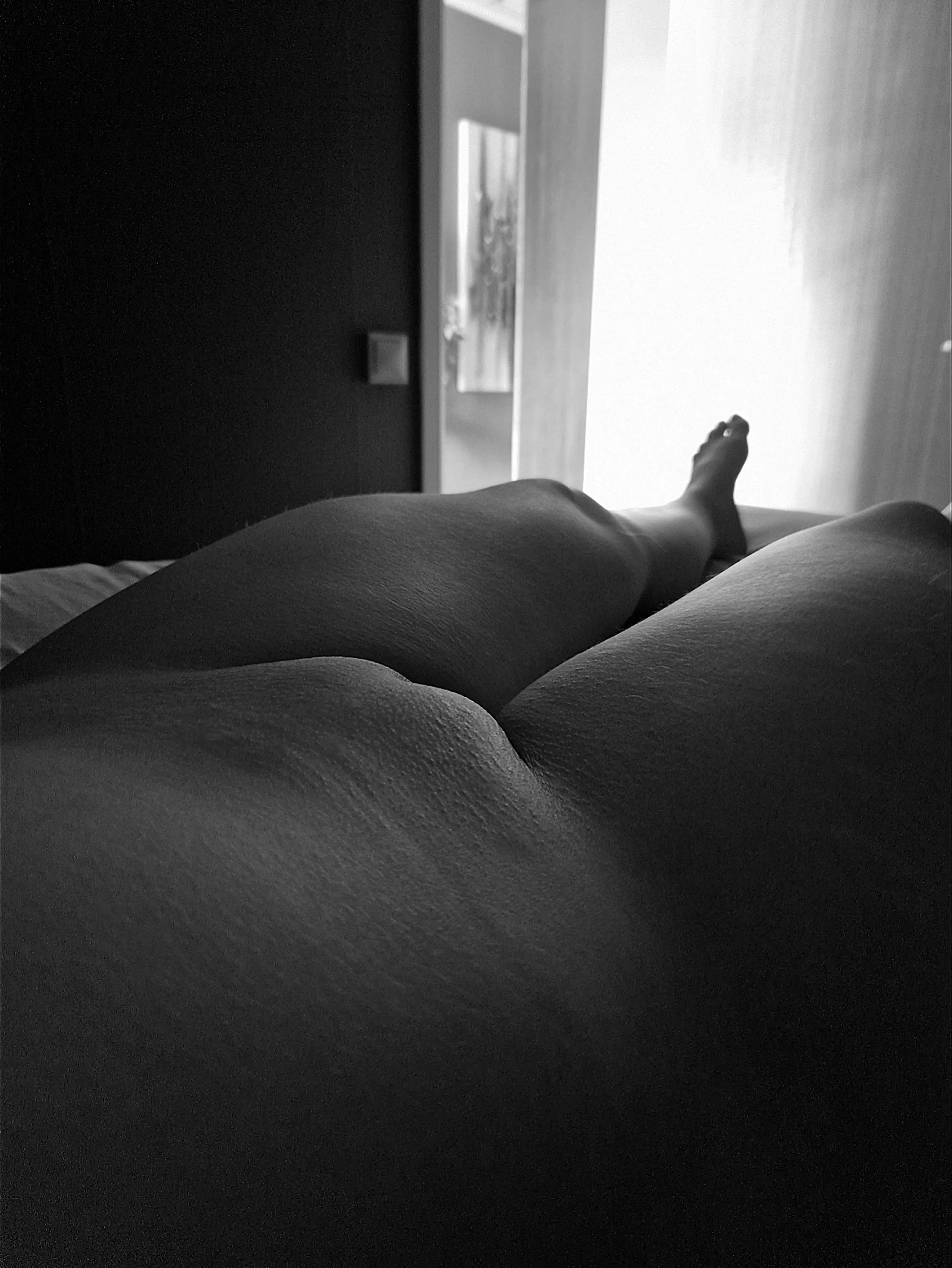 A little gray this Monday