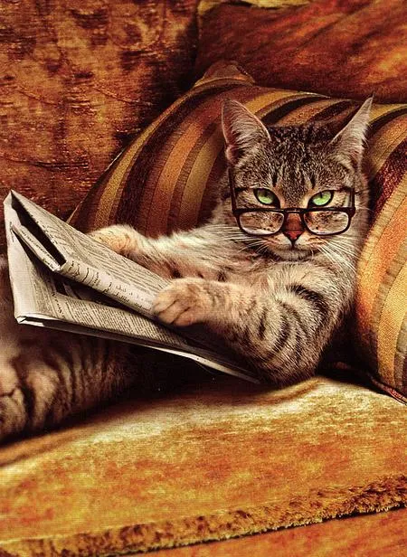 Books that make others look at you like this?