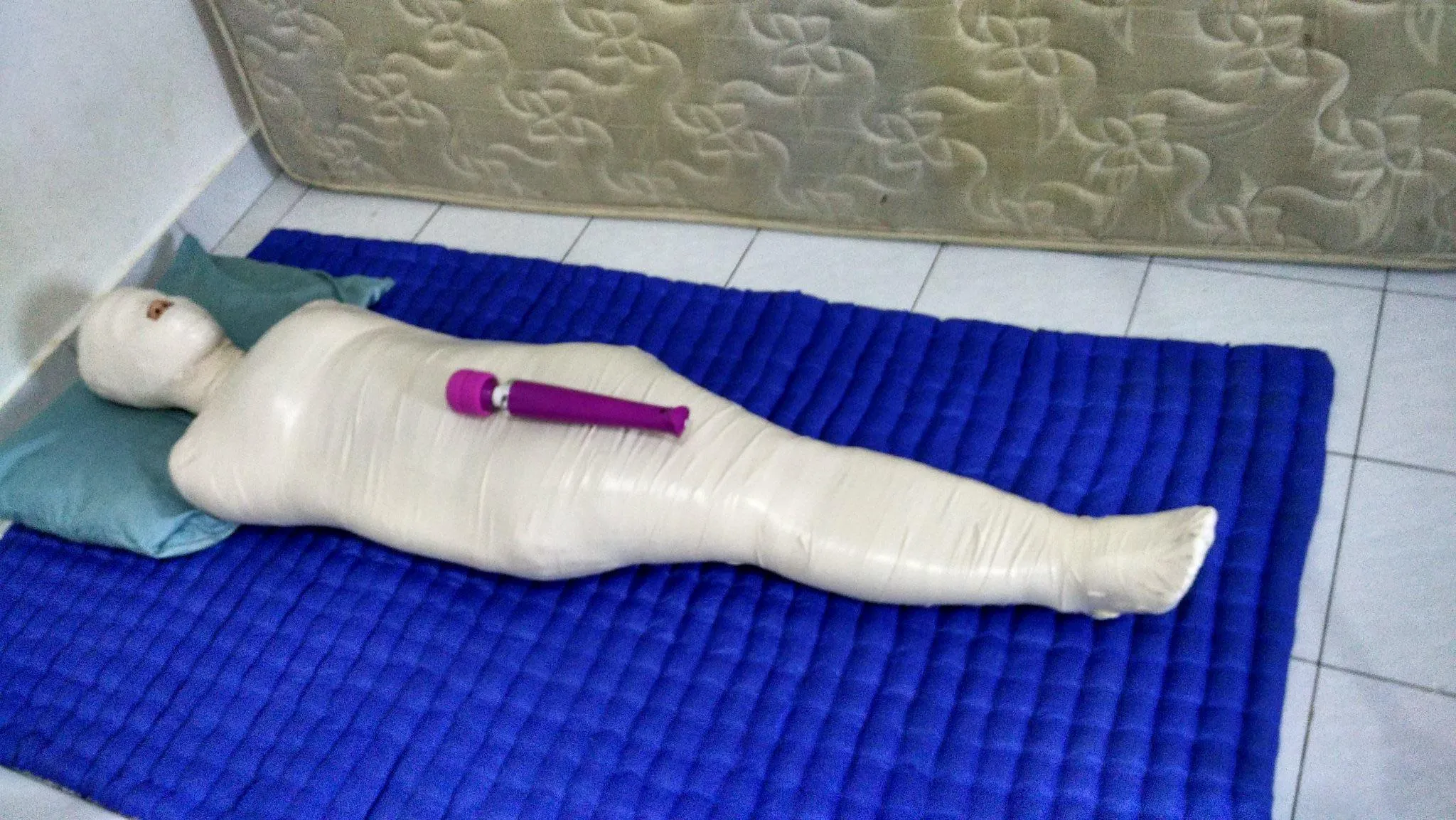 Day 1 searching a female in mx