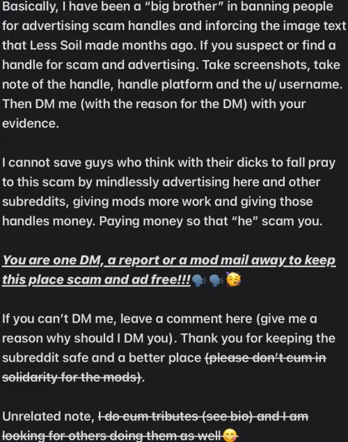 DM me if you suspect someone is advertising a scam (Image text)