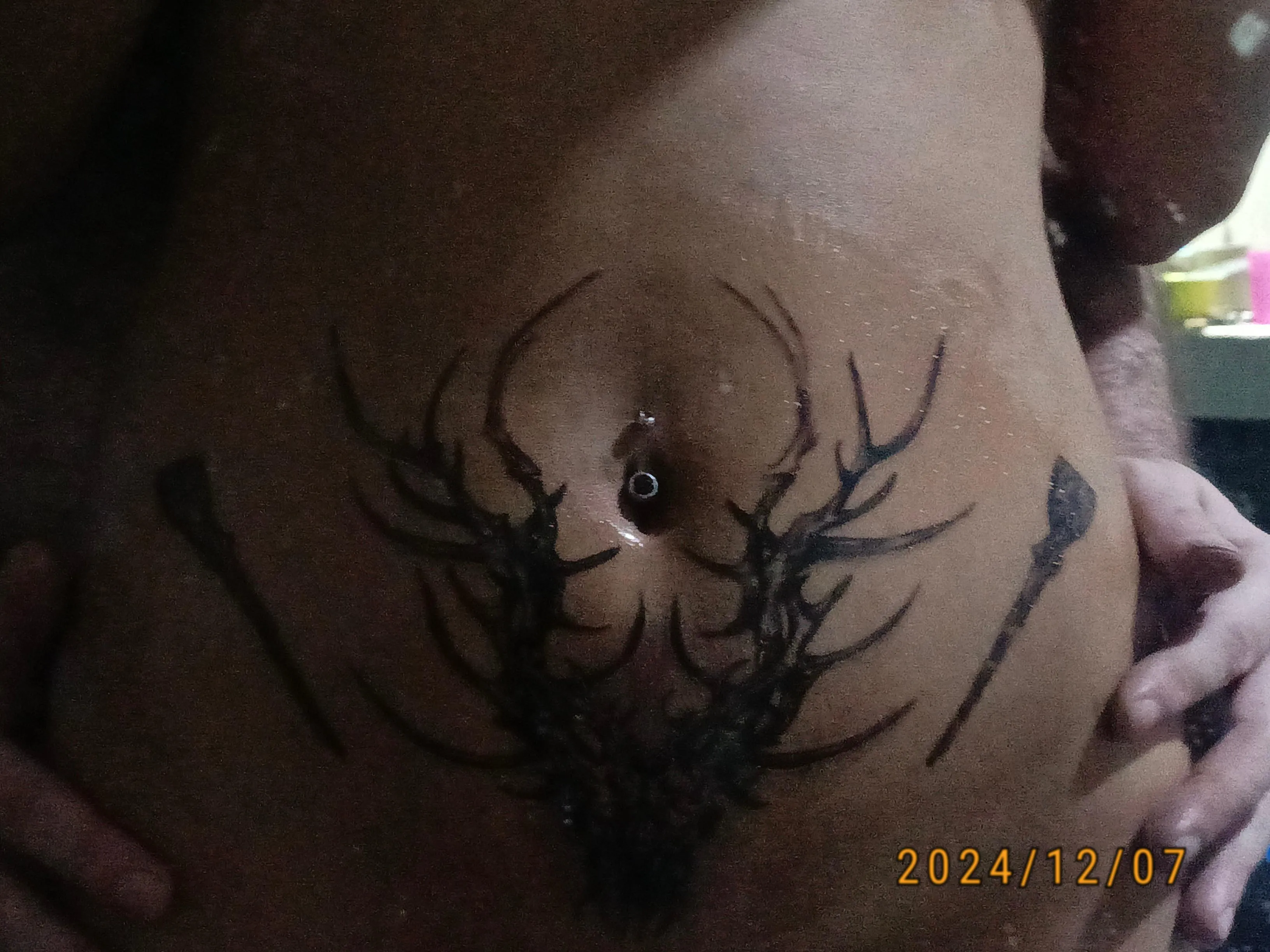 First tattoos on my daddy's dime