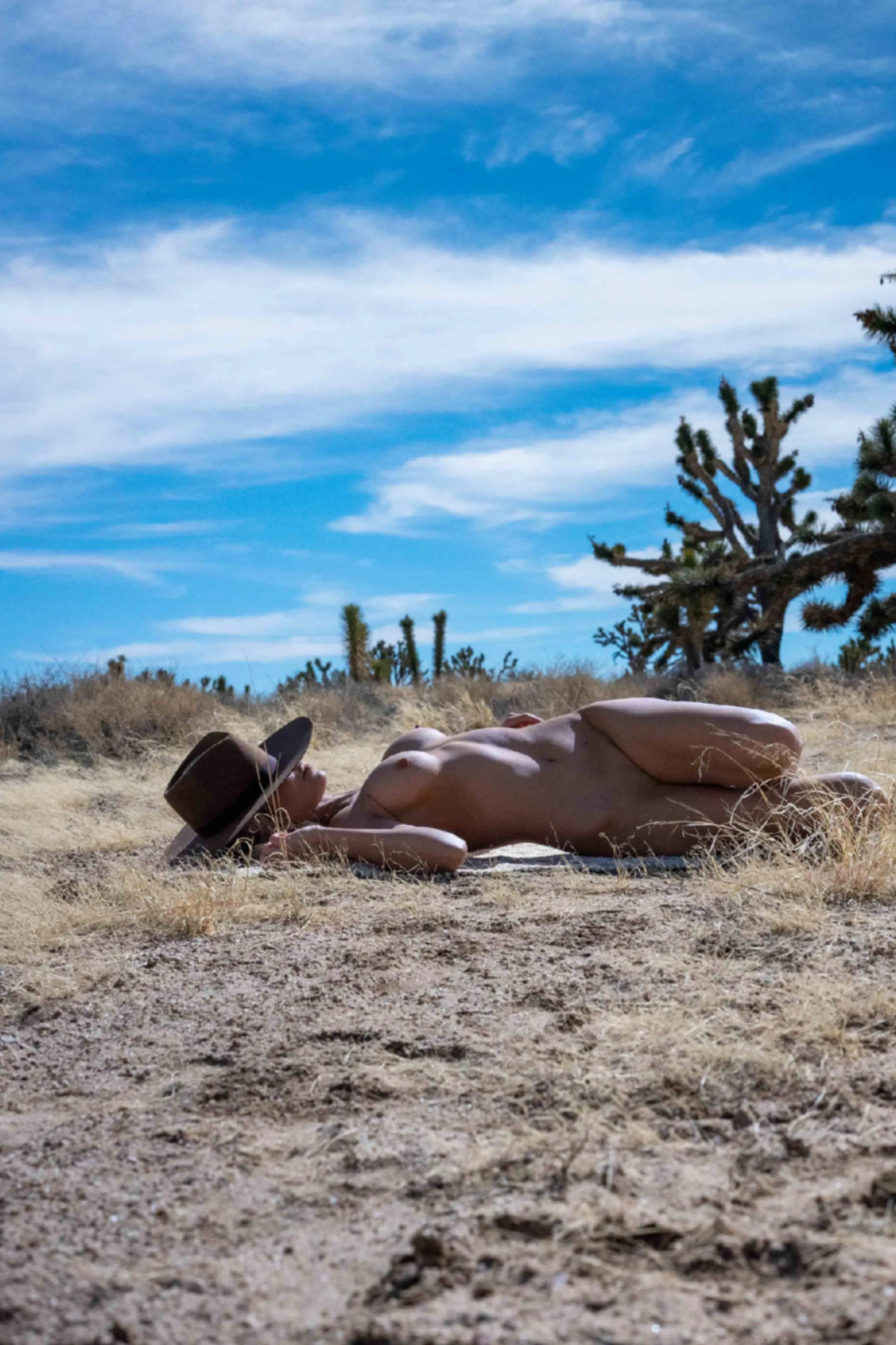 Hope your Christmas wishes come true