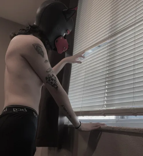 pups got a nice, slim waist, perfect for grabbing >:3