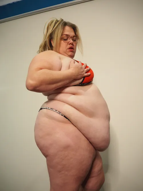 Turning in to a fat breeding cow