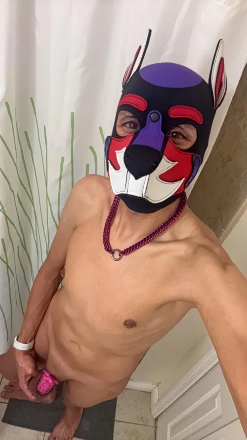 Who doesn’t love a permalocked puppy.