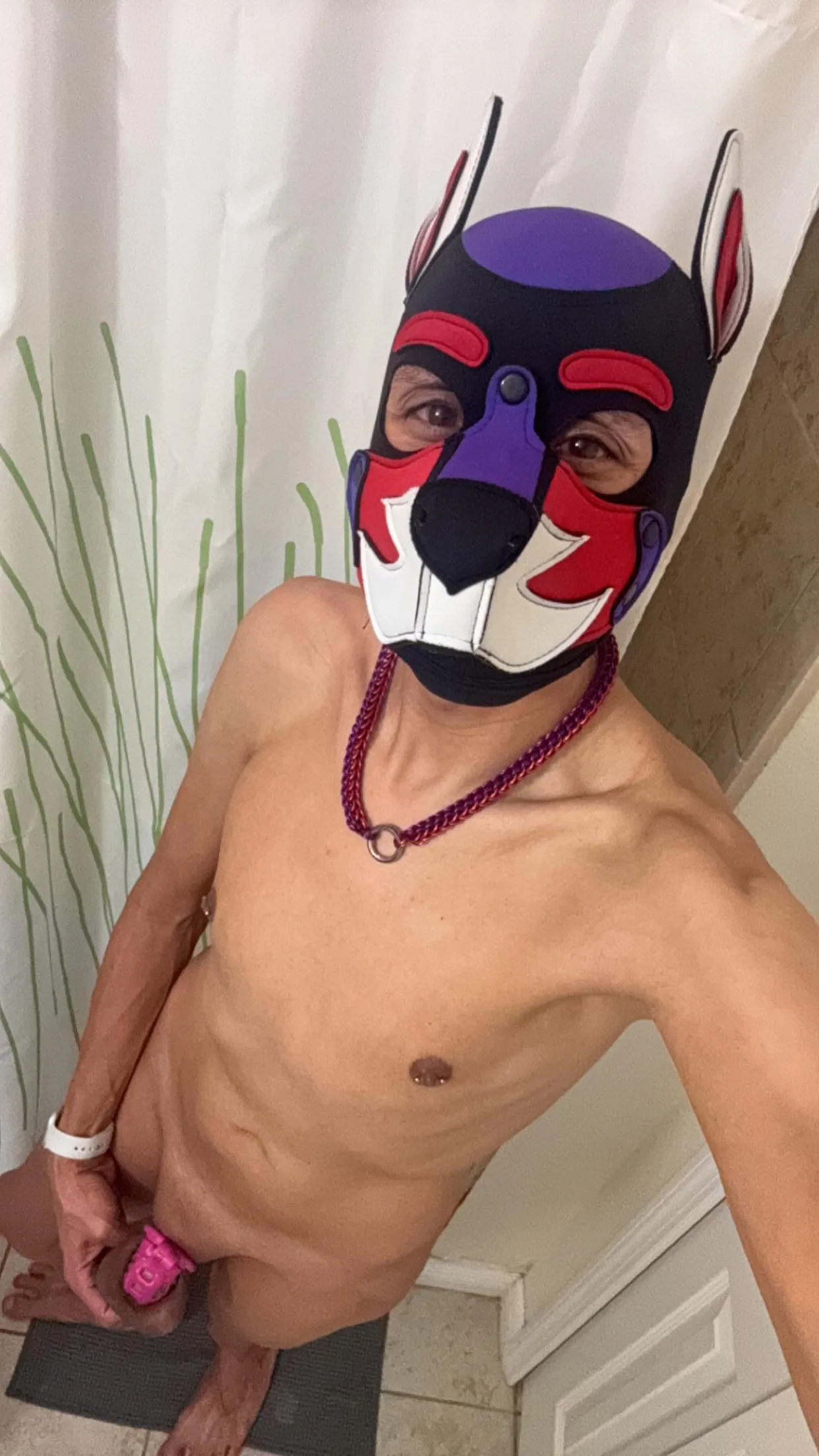 Who doesn’t love a permalocked puppy.