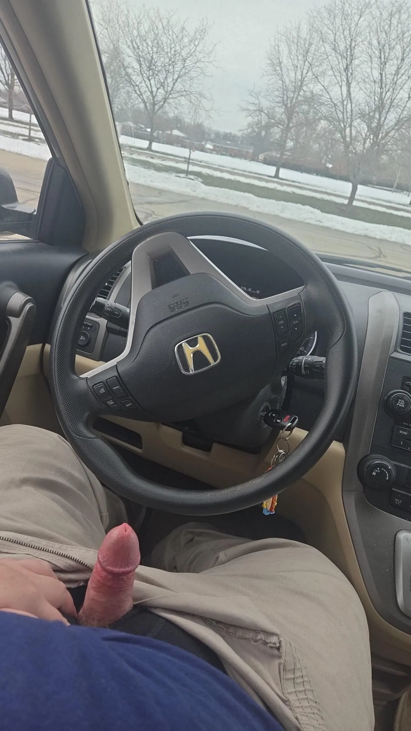 Another beautiful day at the park