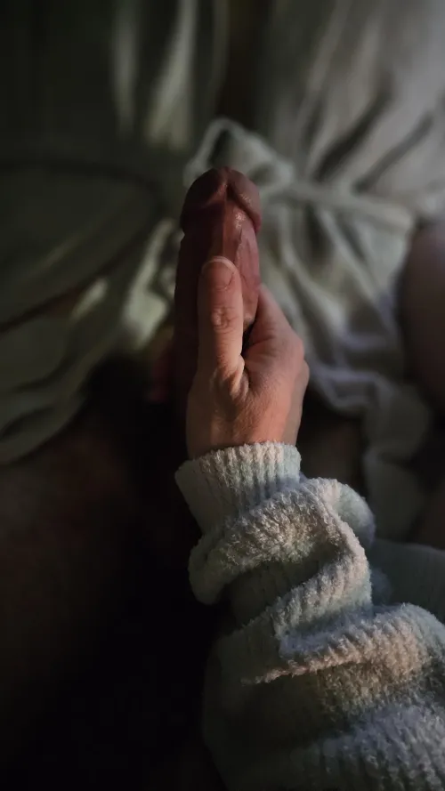 Anyone looking for a bull? M or f. 30