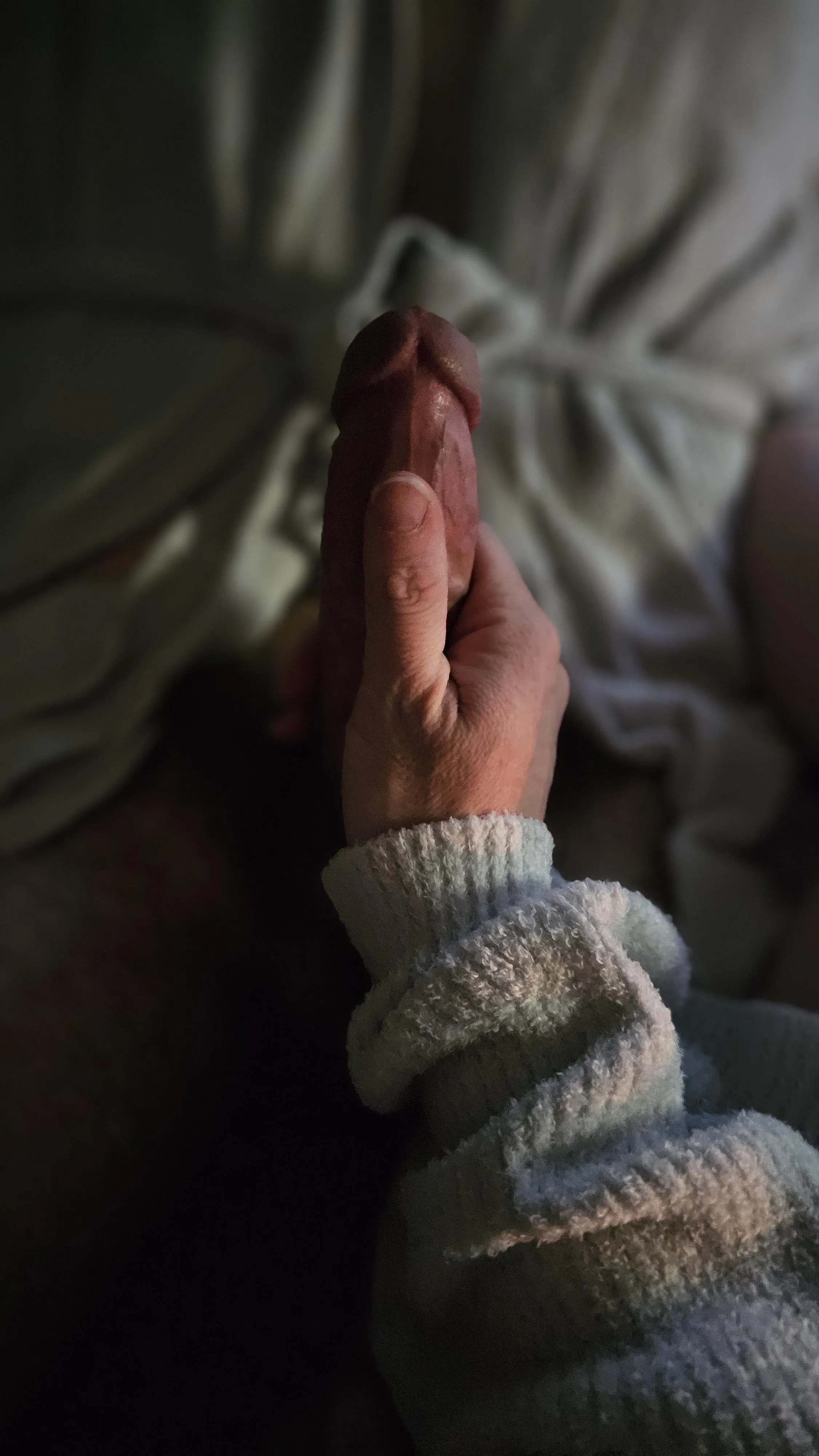 Anyone looking for a bull? M or f. 30