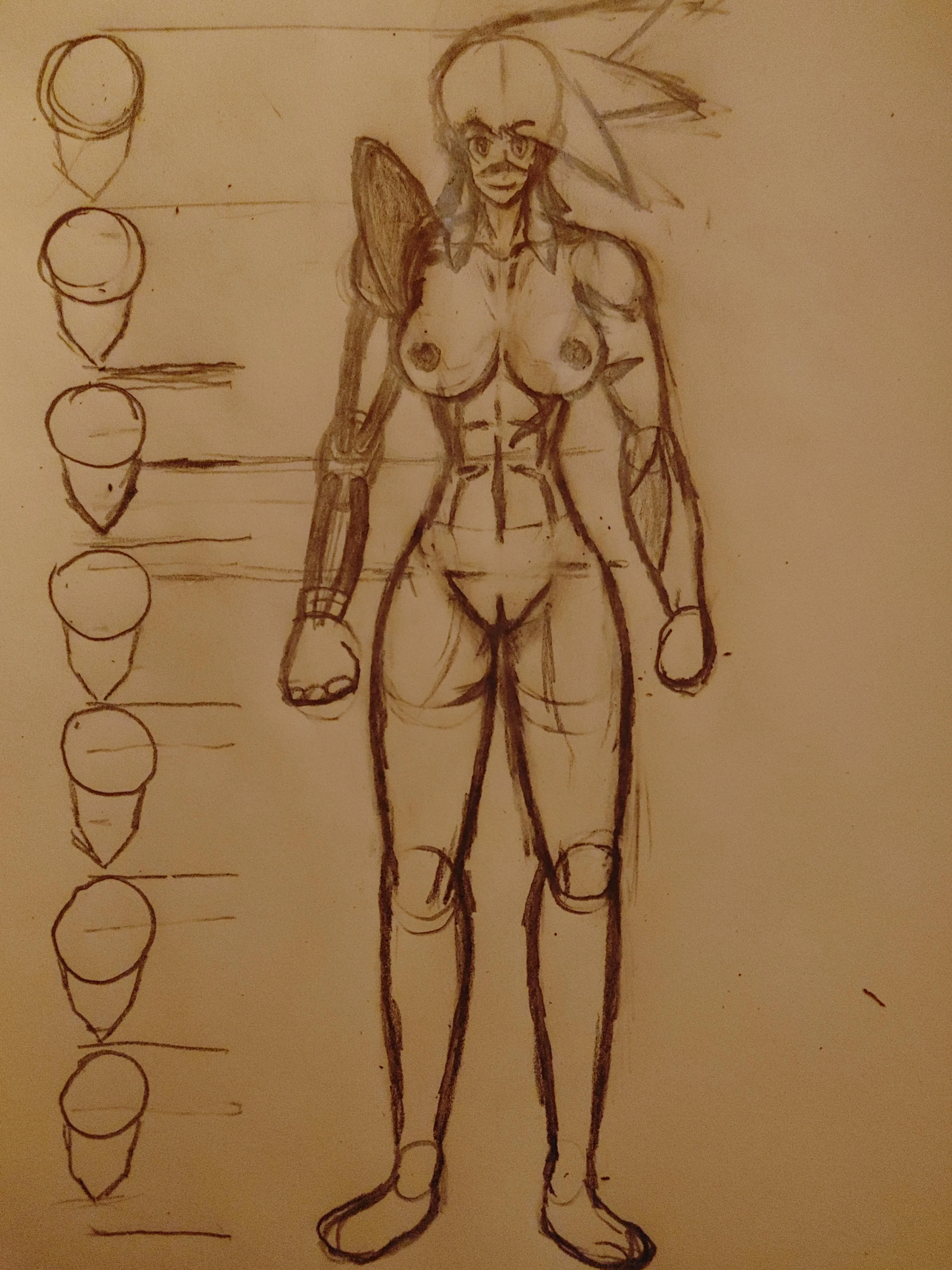 Creqted a nude reference of one of my characters. How does she look? ( I kinda suck w legs)