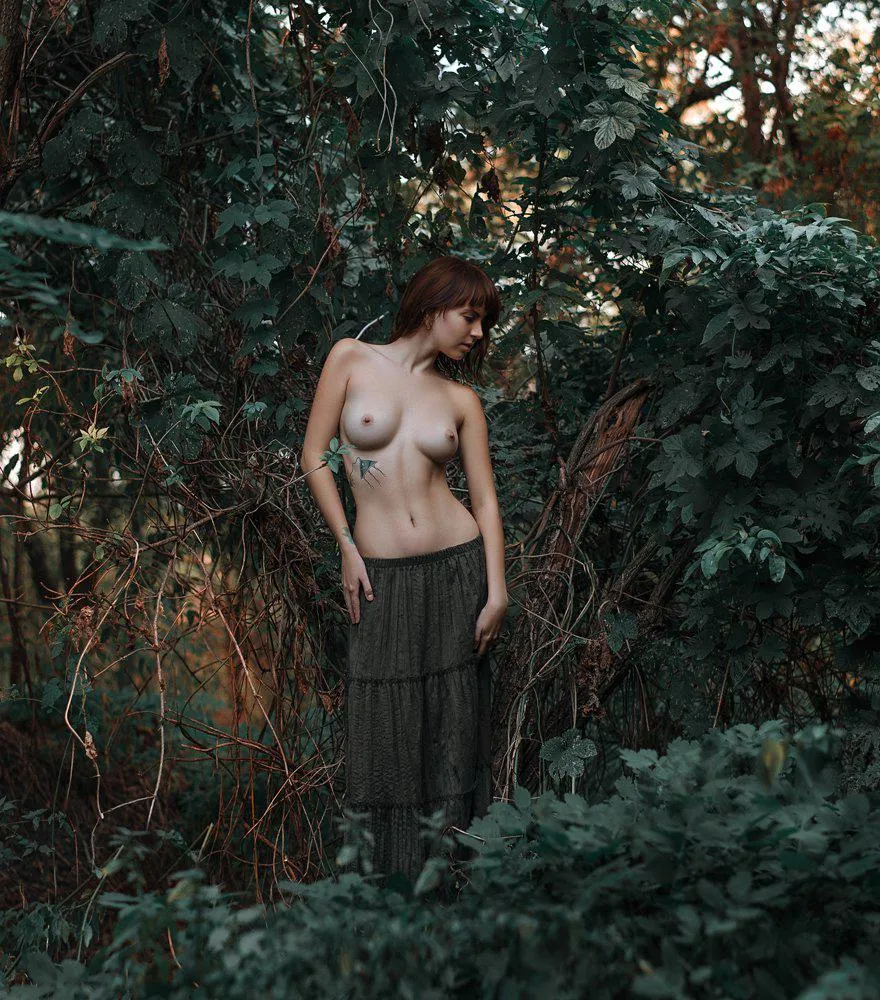 A quiet moment in the woods