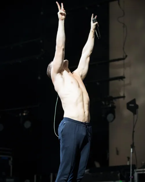 Dan Reynolds, Singer