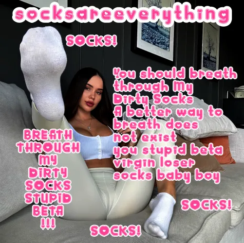 Know your place stupid sockssexual beta loser and breathe through my dirty socks! SocksAreEverything2 on ImageFap