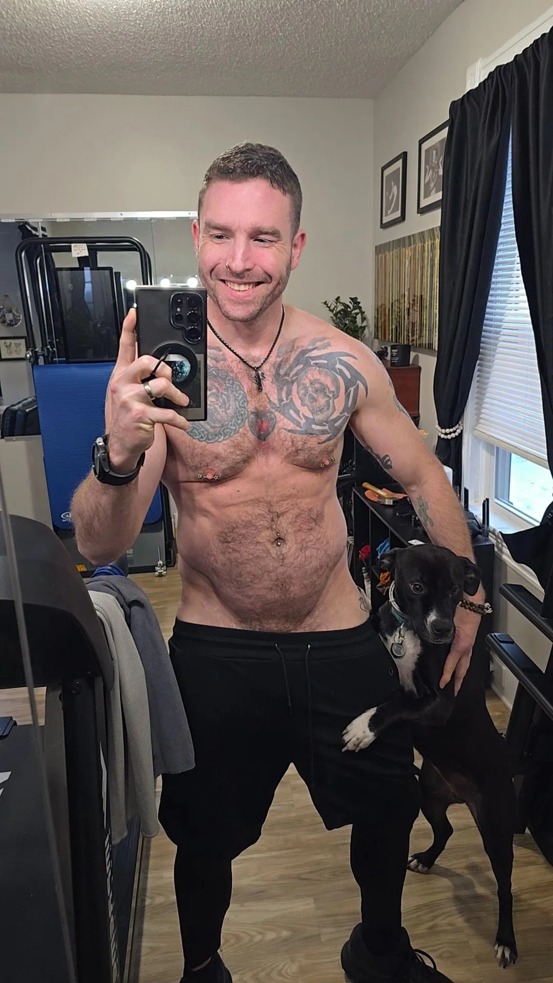 A golden retriever and his adopted pit bull