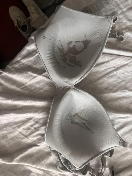 After a posting hiatus, I’m back, blasted my friends 36C bra when she left her apartment