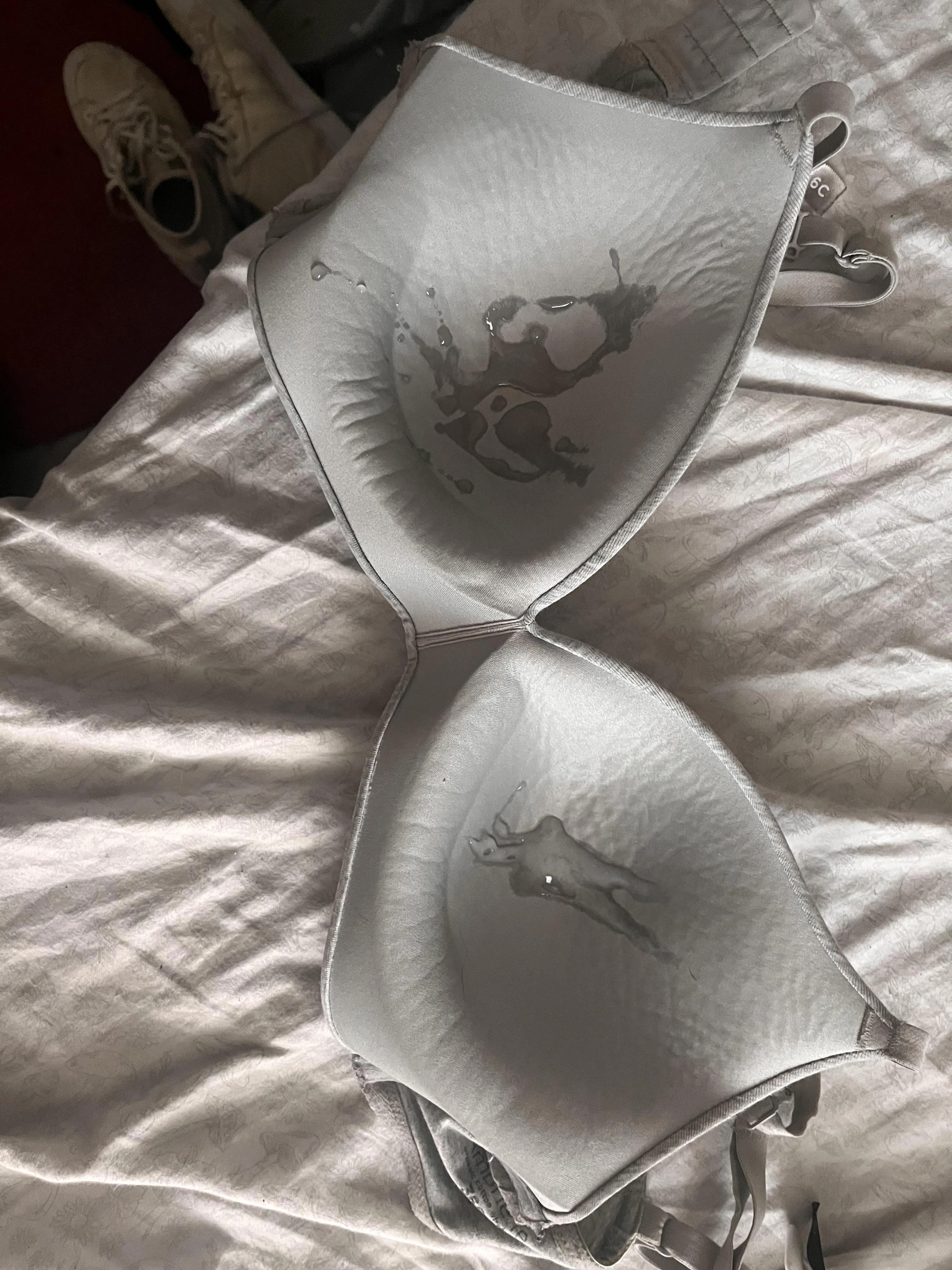 After a posting hiatus, I’m back, blasted my friends 36C bra when she left her apartment