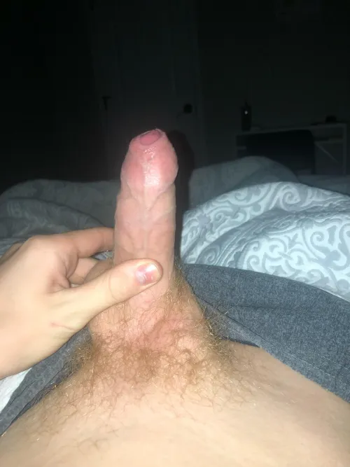 Dm for face pic vote up if you’d let me fuck you