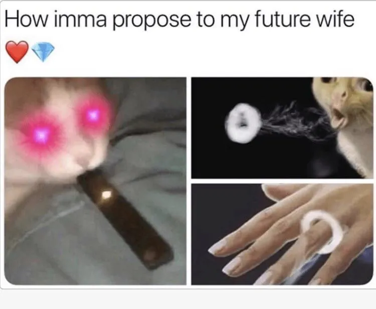 How imma propose to my future wife..