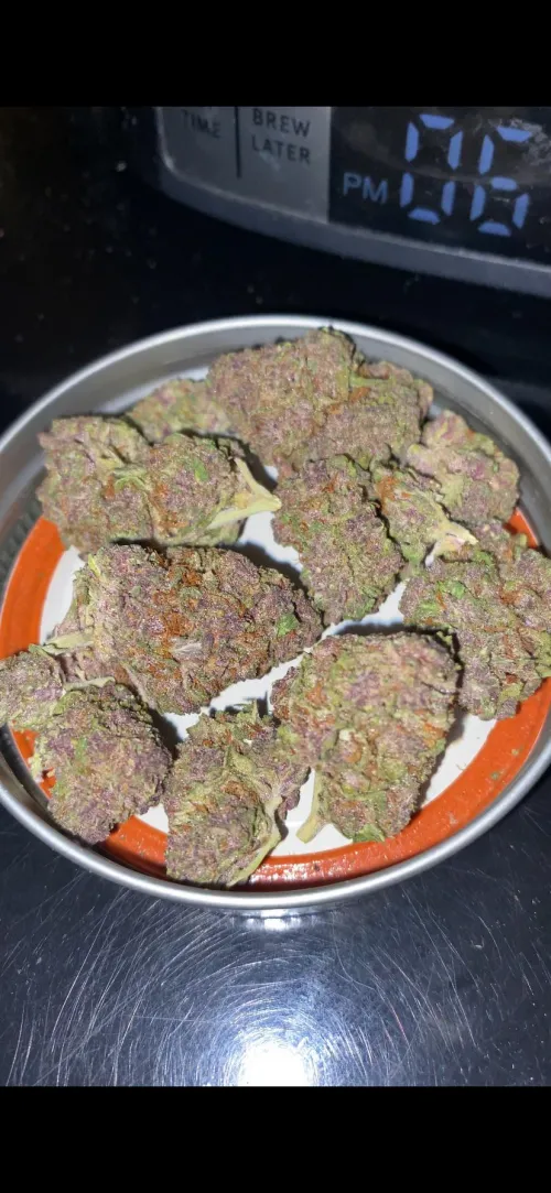 LIT - Tropical Runtz