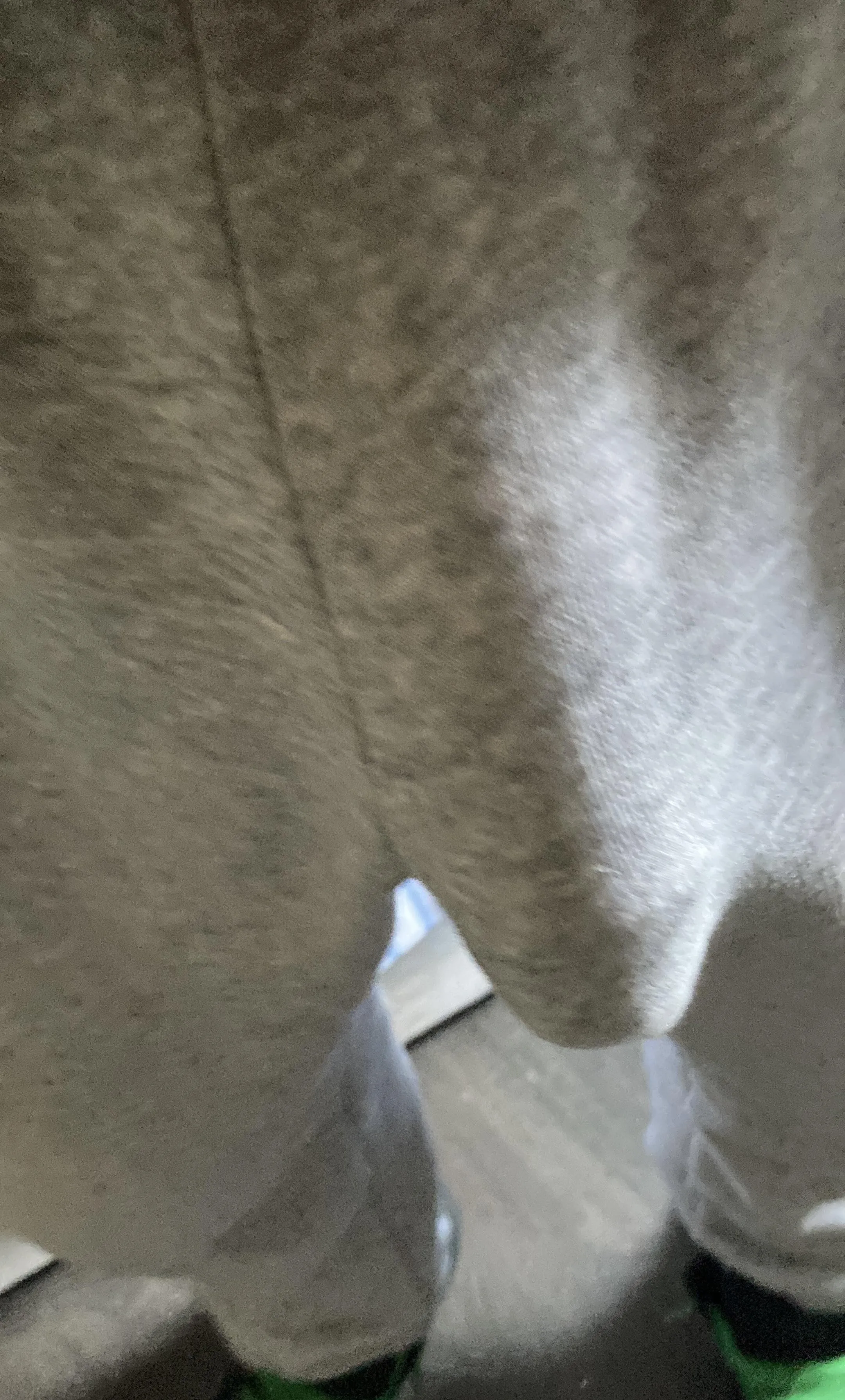 Girl in the shop can’t stop looking an smiling