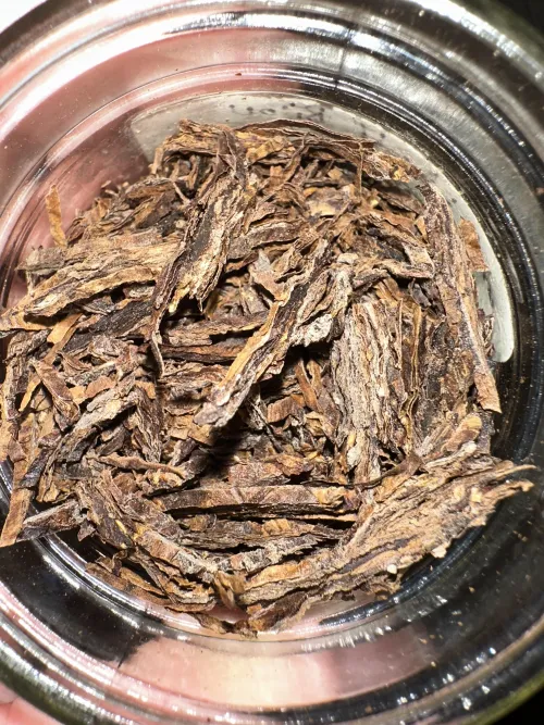 8 year old C&D Bijou