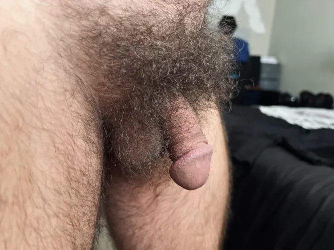 Big bush and small softie