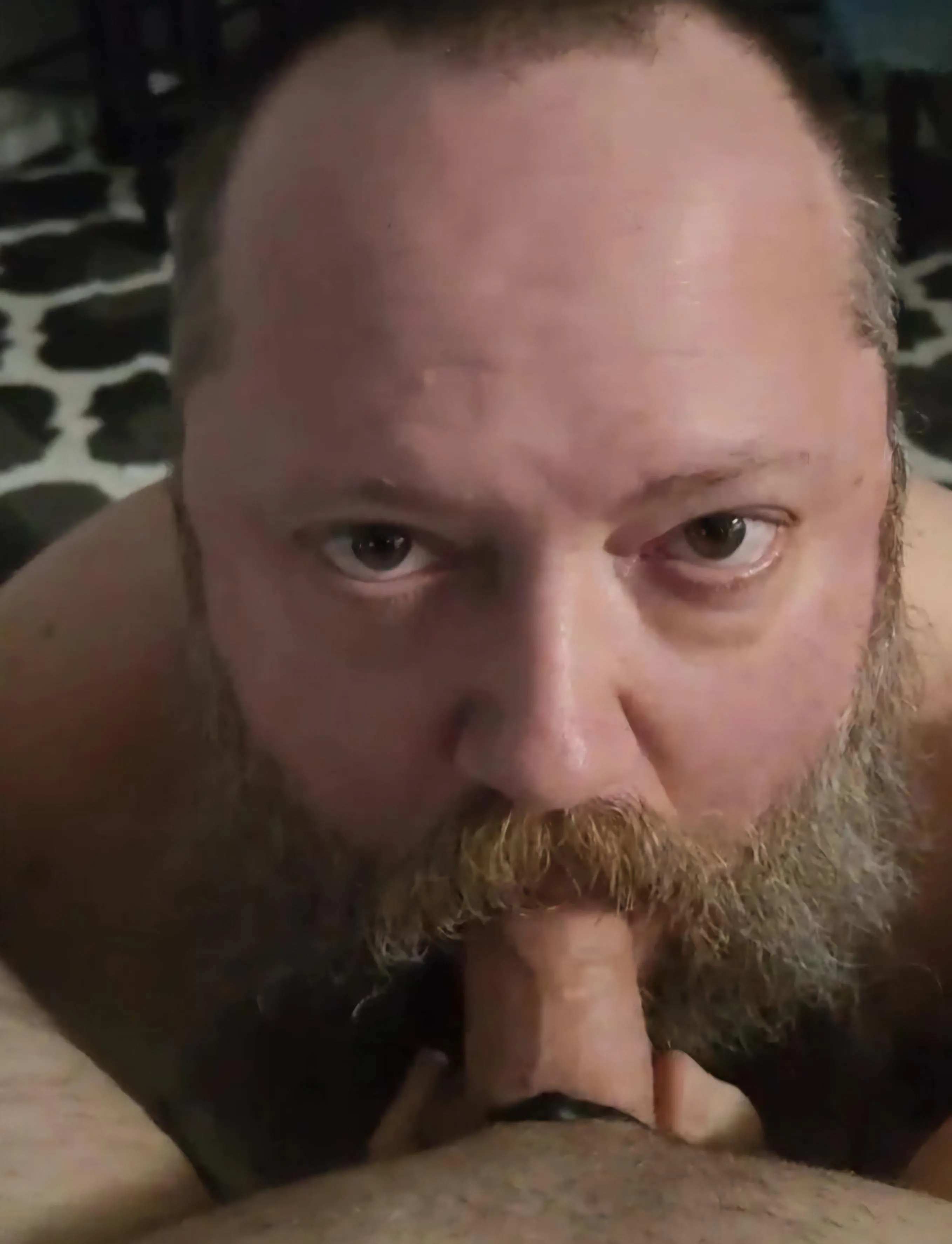 Can't stop sucking cock