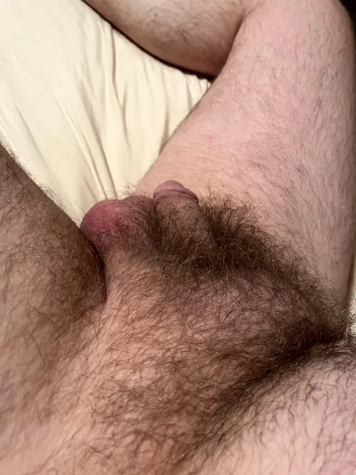 Could use a mouth on it