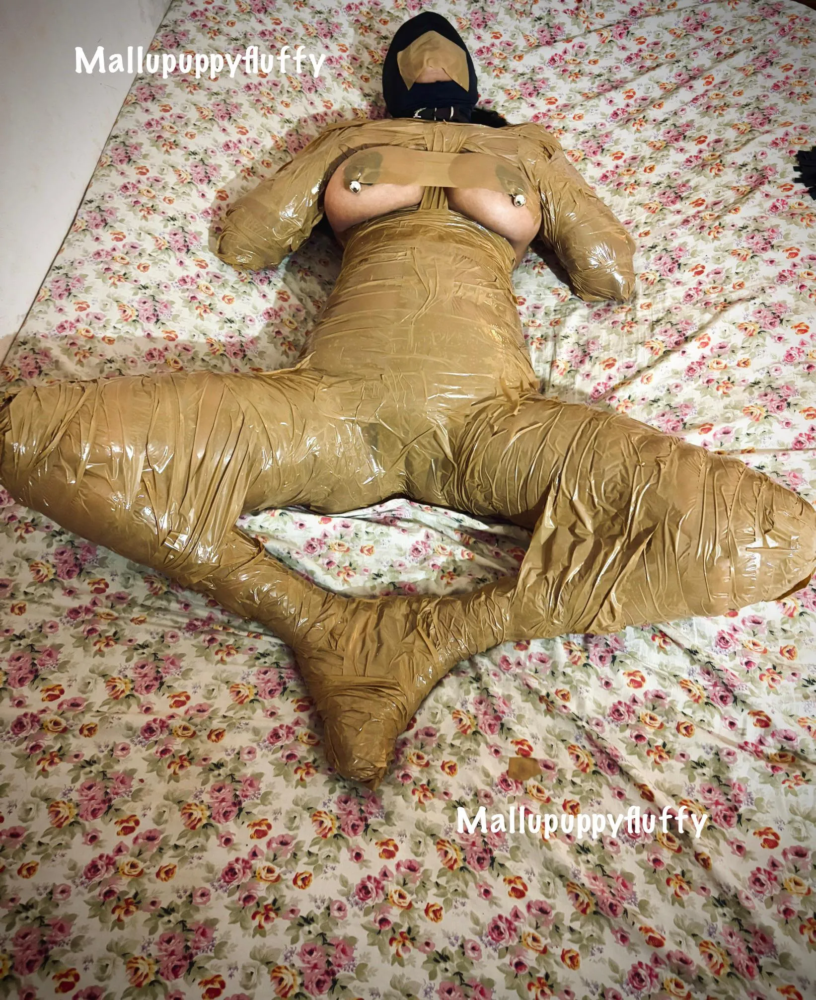 Fully Packed And Hooded