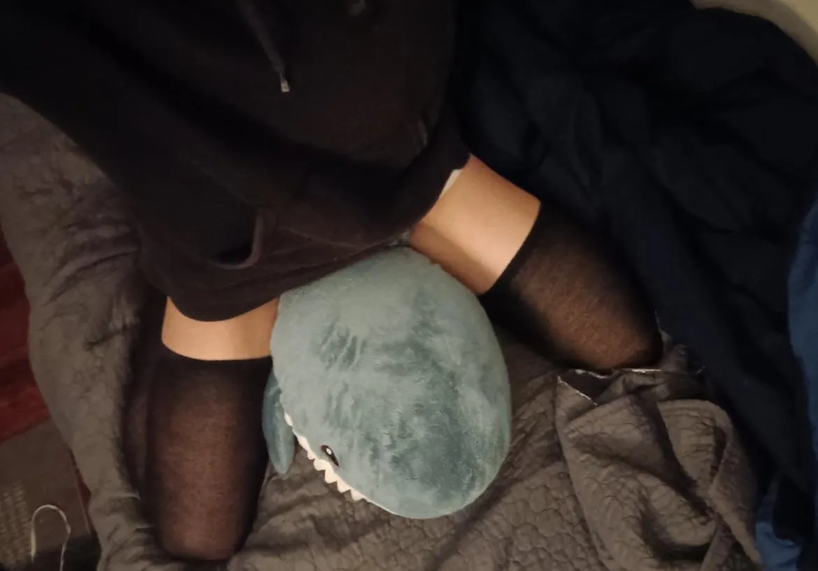 I bet you wish my blahaj was you :3