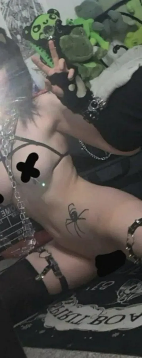 I heard you like monster girls, cat girls with leash are the best