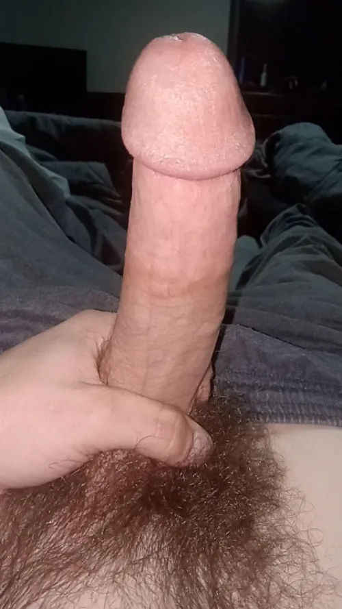 M4f southern nh