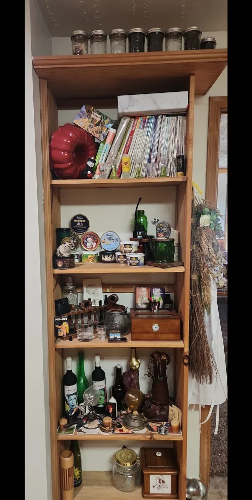 My modest collection interspersed with mine and my wife's souvenir collection.