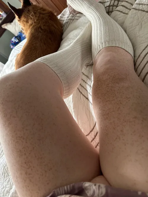 Willing sundress season back