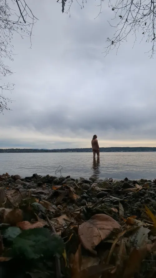 All the leaves are brown, and the sky is grey.