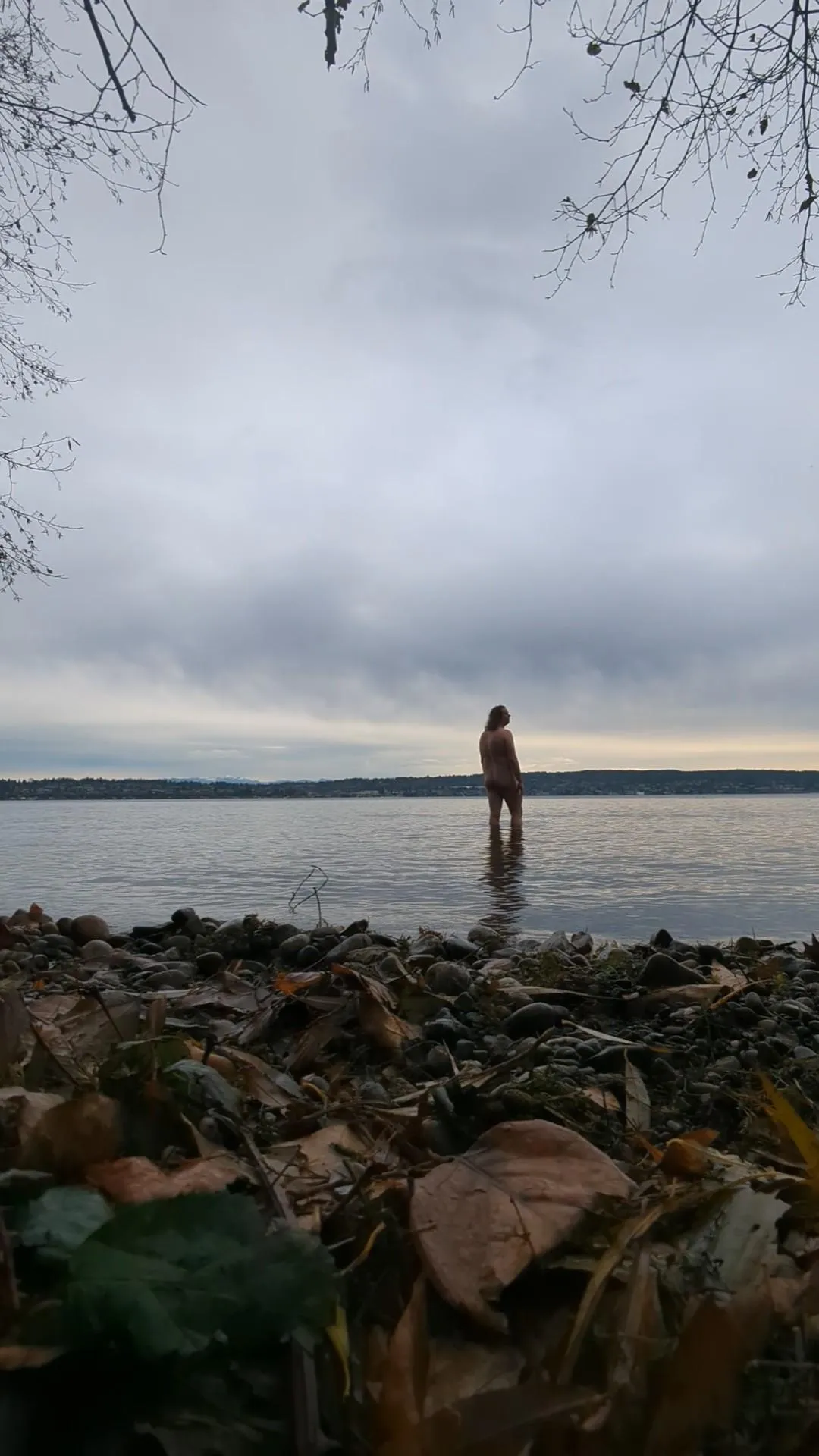 All the leaves are brown, and the sky is grey.