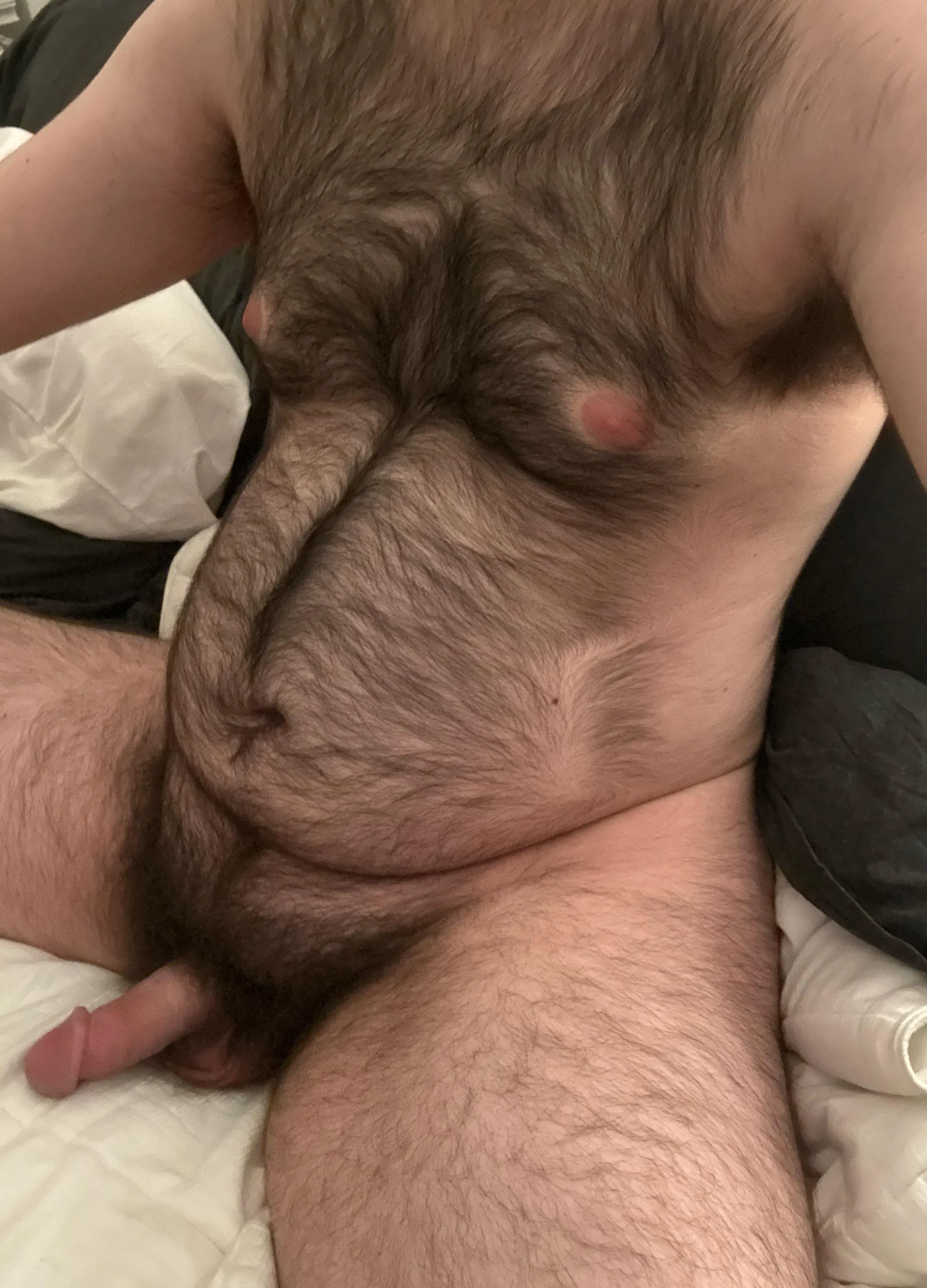 am i considered a bear?