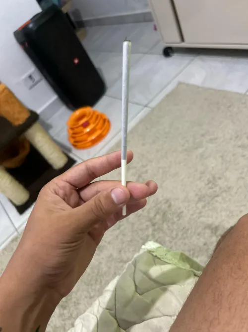 Boa noite com f1 é lei