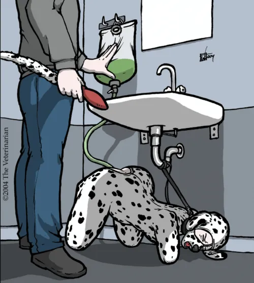 Enema Training by The Veterinarian