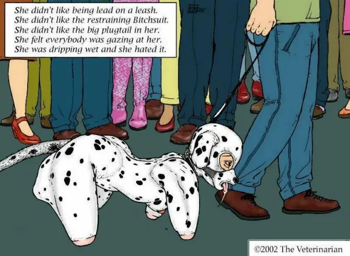 Recolonised image (artist unknown) drawn by the Veterinarian