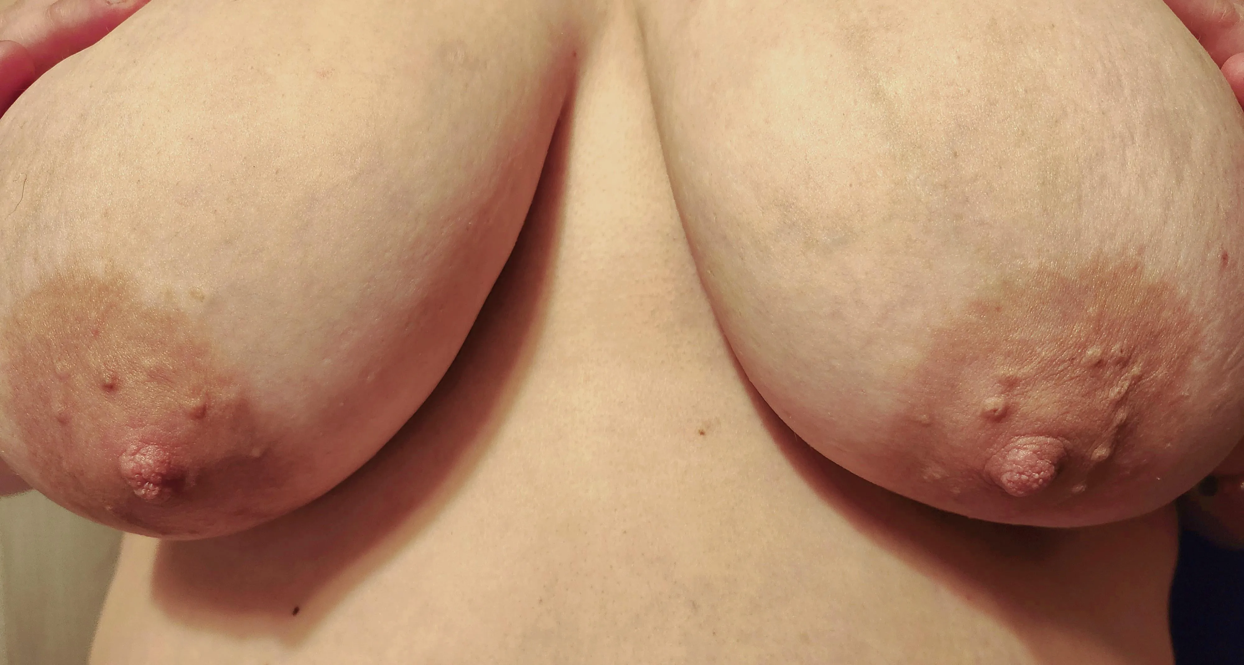 Enjoy this late Titty Tuesday submission from my wife