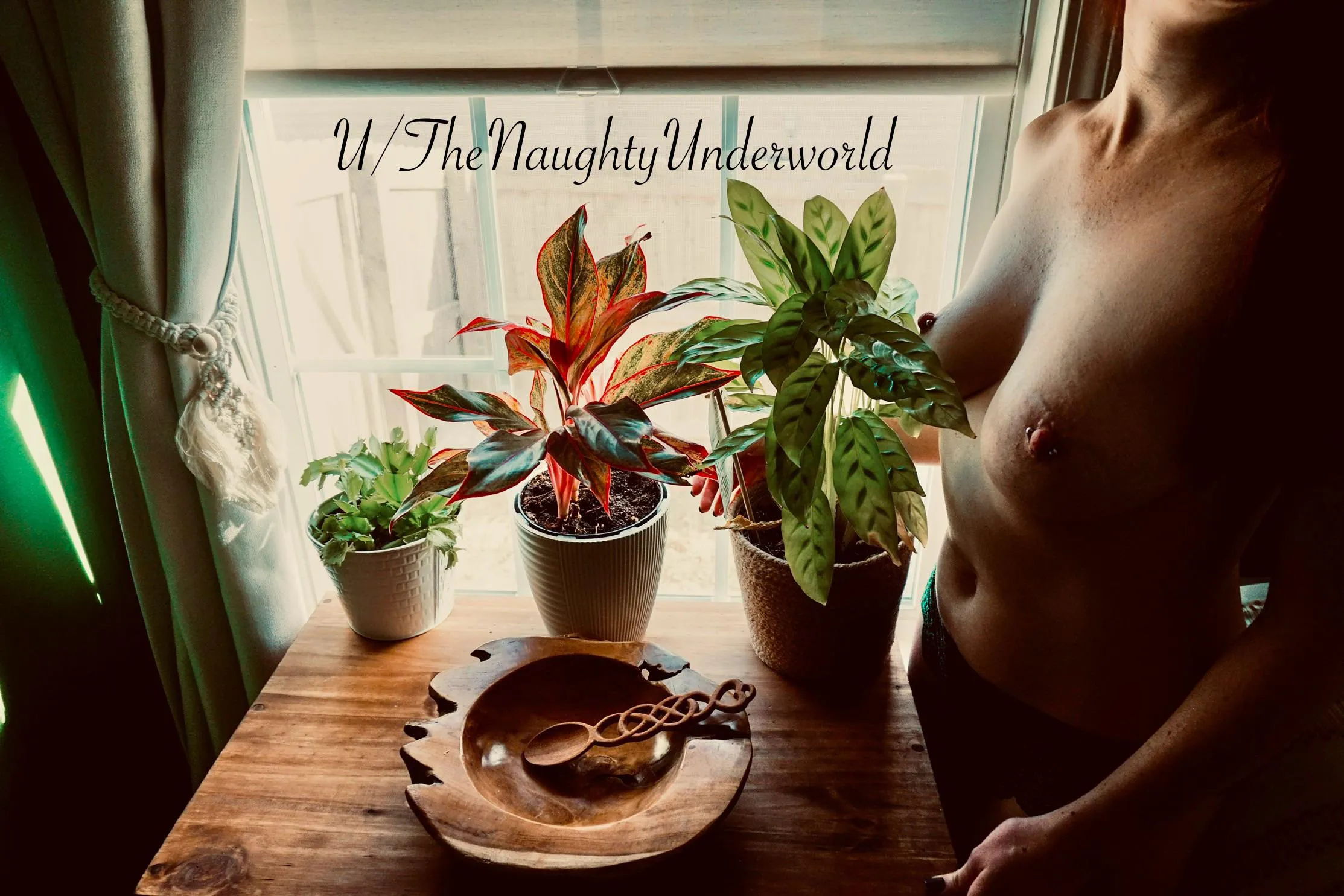 Enjoying the morning sun with some of my plants