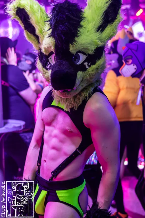 Hopefully hitting the gym has paid off~