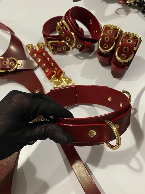 Leather kinky set for fun I am goining to present to my pet