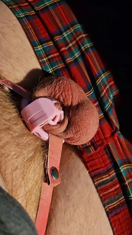 My little caged penis