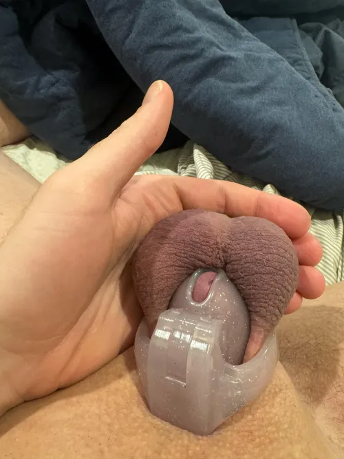 my useless balls have been black and blue for so long…