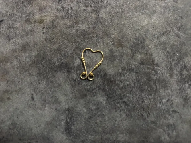 What did I do? Was it pretty? I had no idea how to define it. A clitoral clamp? A nipple clamp? Something else?