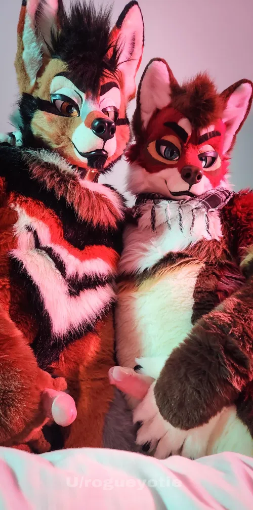 Would you handle both? Could you handle both?