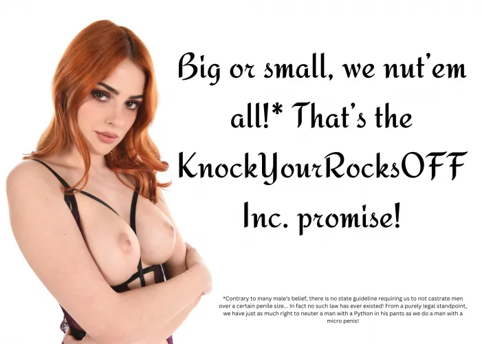 Big or small, we nut'em all!